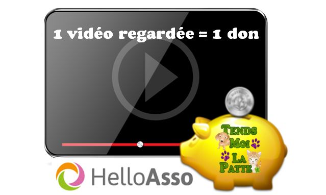 Videohelloasso 1